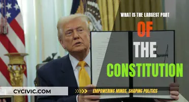 Understanding the Constitution's Most Significant Section