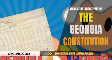 Georgia Constitution's Longest Article: Understanding Its Significance
