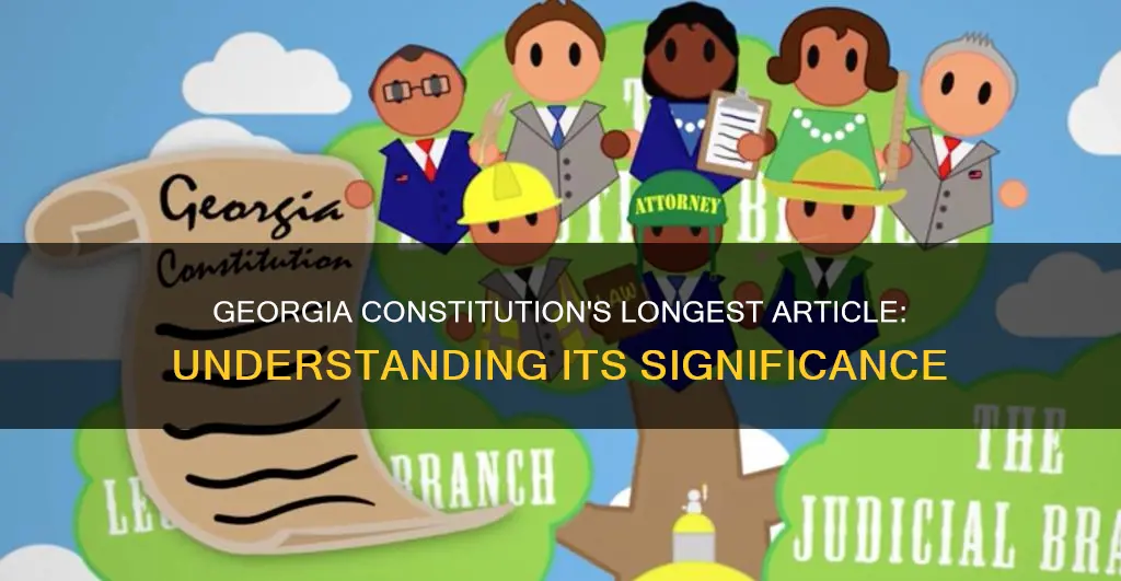 what is the largest part of the georgia constitution