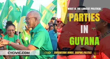 Guyana's Political Landscape: Exploring the Dominant Parties and Their Influence