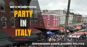 Exploring Italy's Dominant Political Force: The Largest Party Revealed