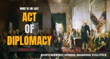 The Last Diplomatic Efforts: A World's Final Negotiations