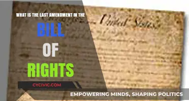 The Last Amendment: Rights and Freedoms