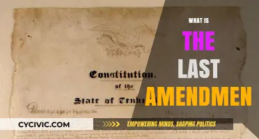 The Last Amendment: Understanding the US Constitution's Tail