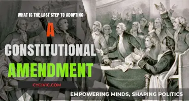 The Final Step: Ratification for Constitutional Amendments