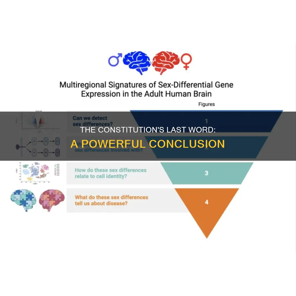 what is the last word in the constitution