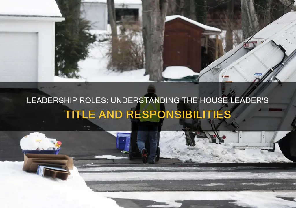 what is the leader title of the house