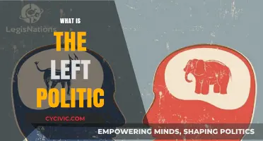 Understanding the Core Principles and Values of Left-Wing Politics