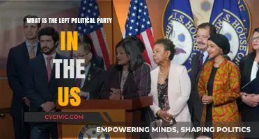Understanding the Left: Exploring the US Democratic Party's Progressive Wing