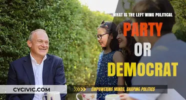 Understanding the Left-Wing Political Party: Democrats' Core Values and Policies