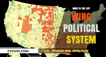 Exploring the Ideals and Impact of Left-Wing Politics
