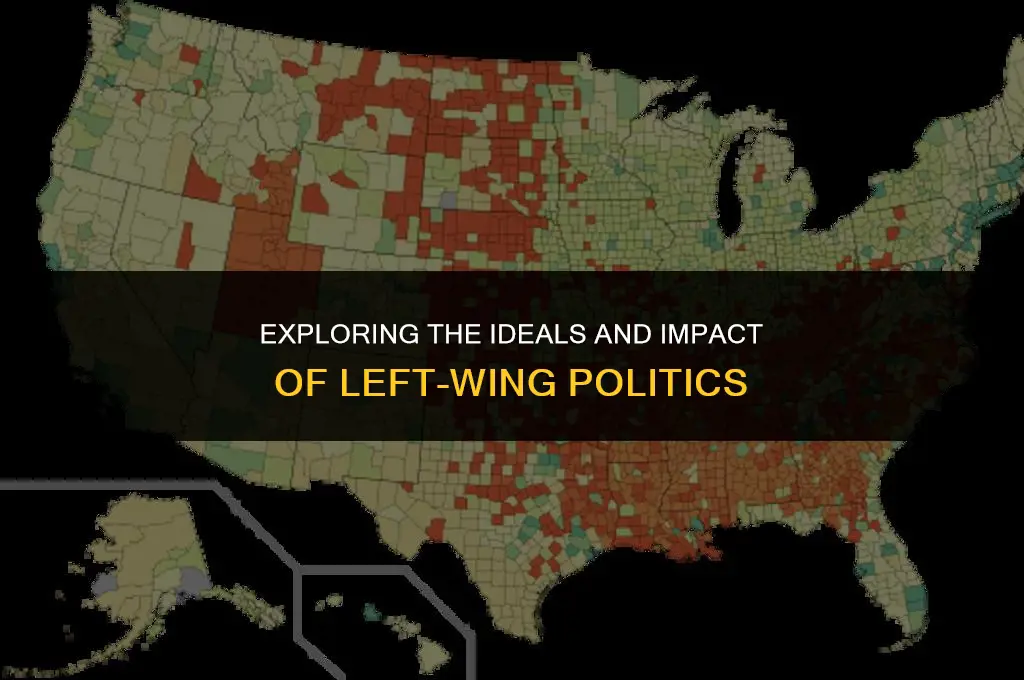 what is the left wing political system