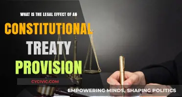 Constitutional Treaty Provisions: Understanding Their Legal Impact