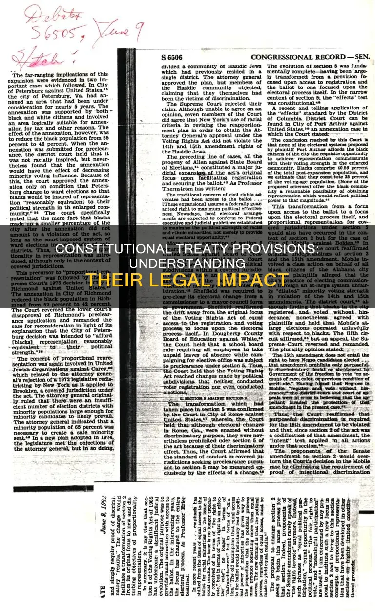what is the legal effect of an constitutional treaty provision