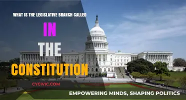 The Constitution's Legislative Branch: Understanding Its Power