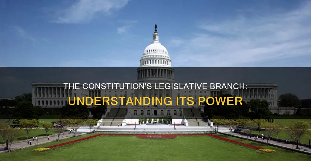 what is the legislative branch called in the constitution