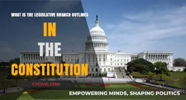 The Legislative Branch: Constitutional Powers and Limits
