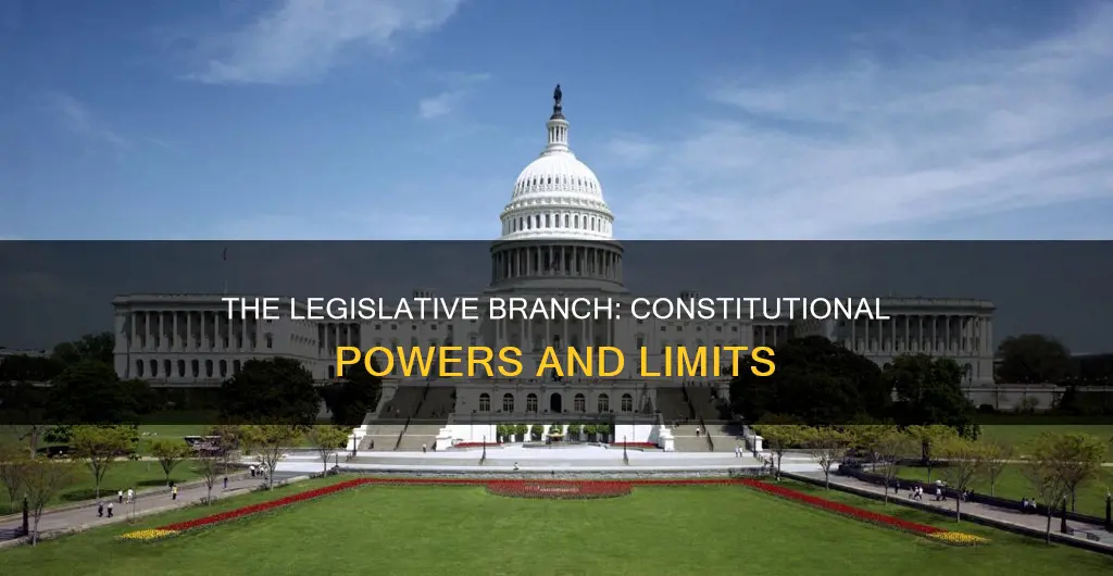 what is the legislative branch outlines in the constitution