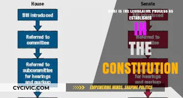 Understanding the Legislative Process in the Constitution