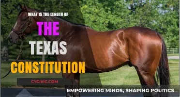 Texas Constitution: A Lengthy Legal Document