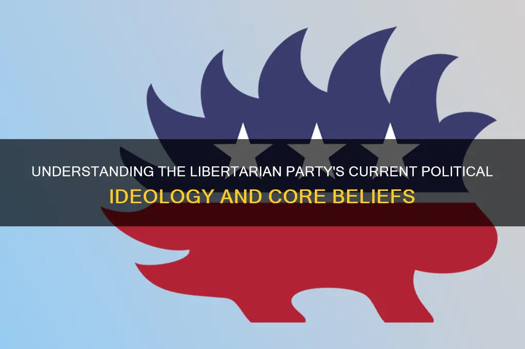 what is the libertarian party current political ideology
