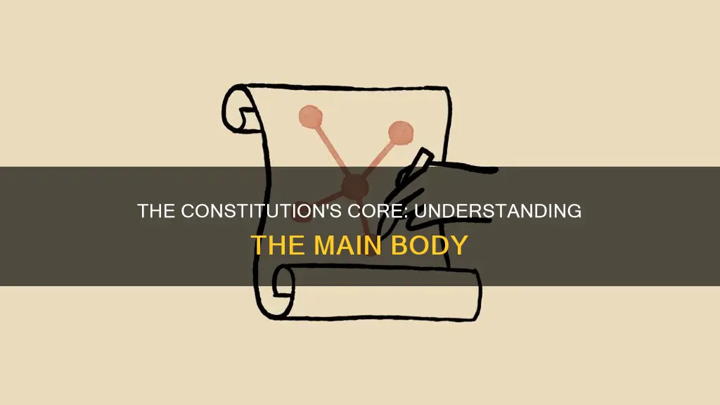 what is the main body of the constitution