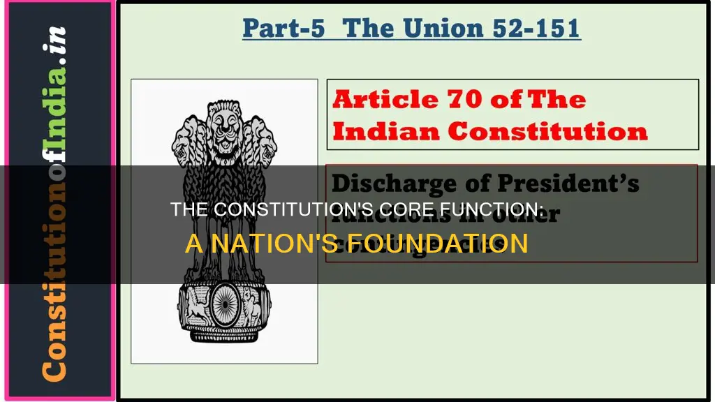 what is the main function of a constitution