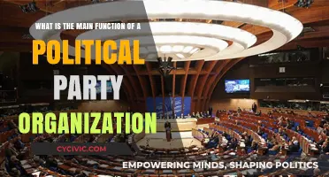 Understanding Political Parties: Core Functions and Organizational Structures Explained