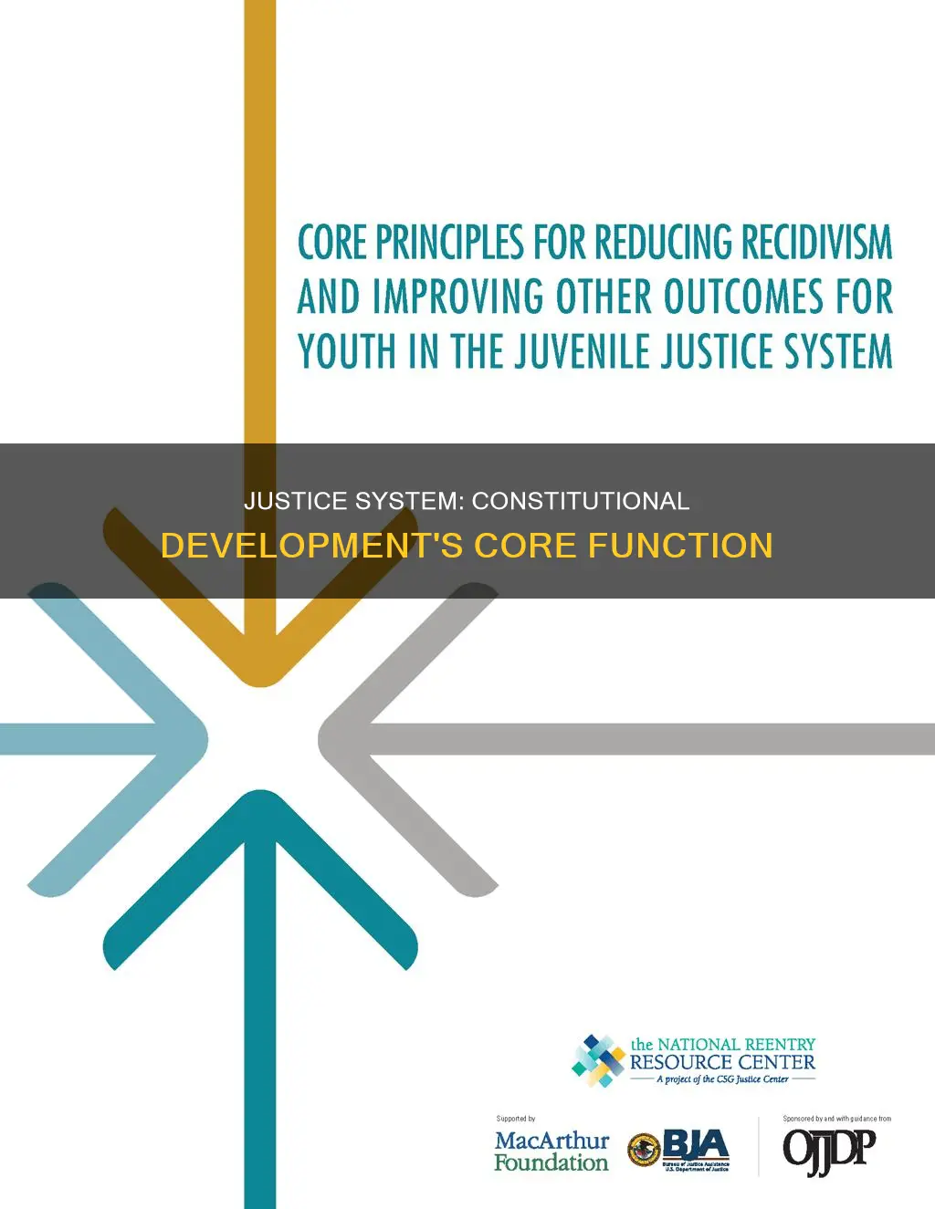 what is the main function of justice and constitutional development