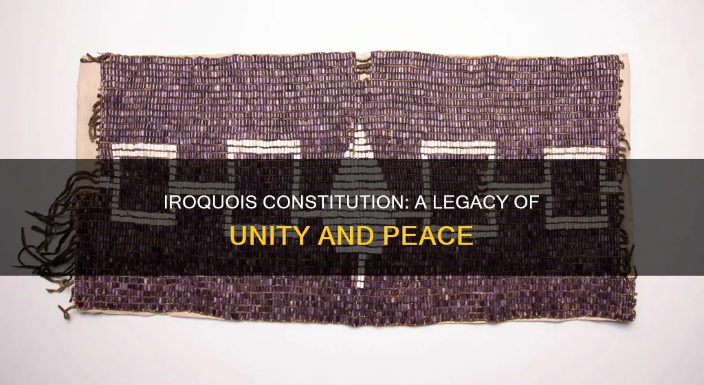 what is the main idea of the iroquois constitution