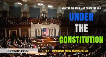 The Core Duty of Congress as Per the Constitution
