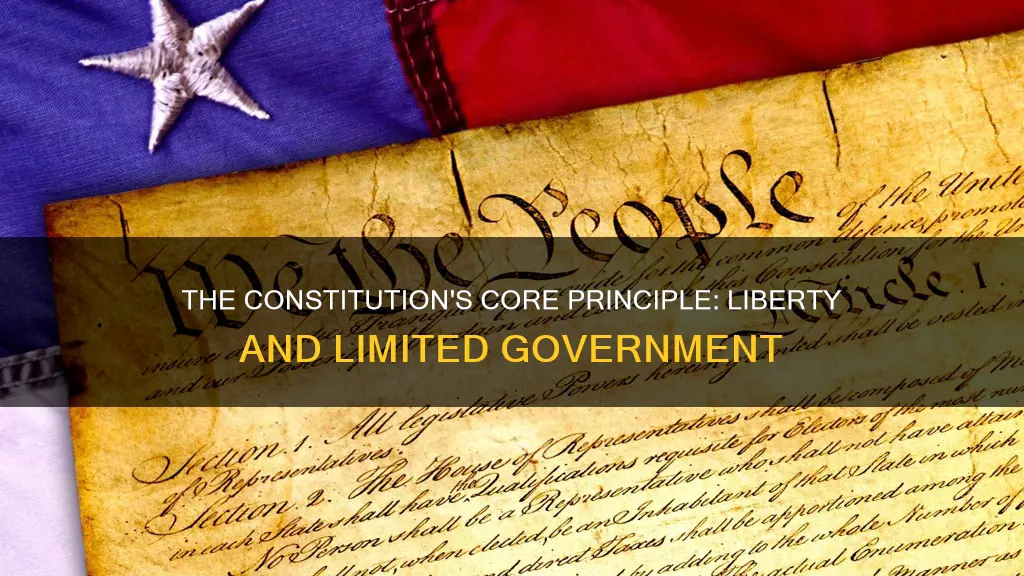 what is the main principle of the constitution