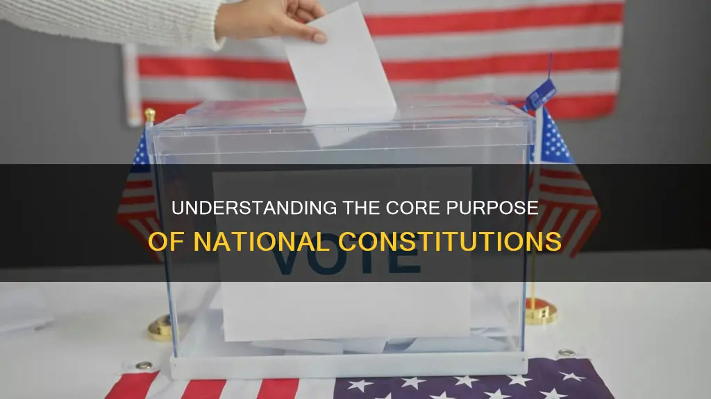 what is the main purpose of a national constitution