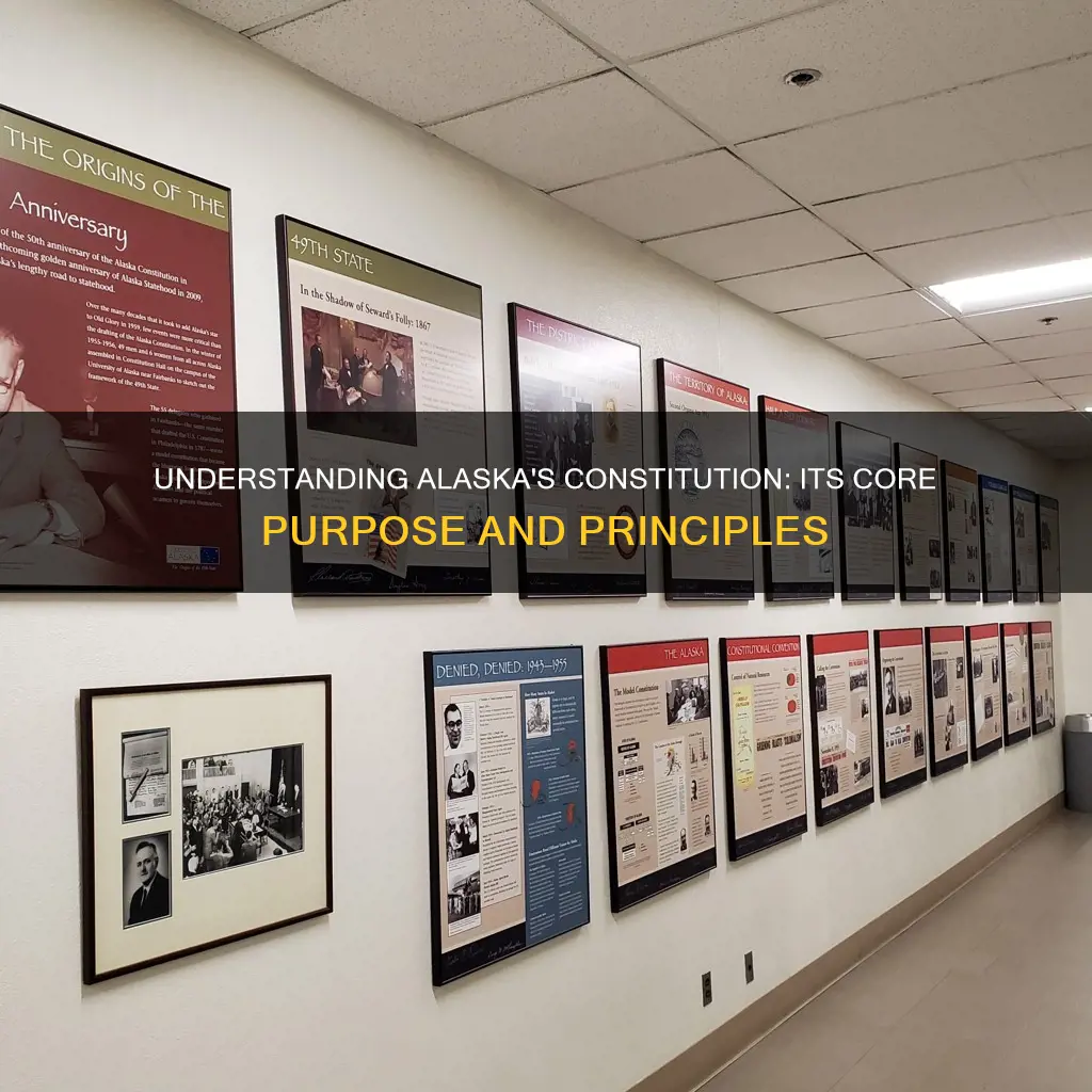 what is the main purpose of the alaska constitution