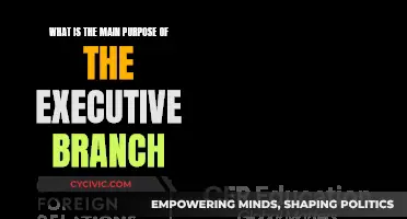 Executive Branch: Its Core Function and Purpose