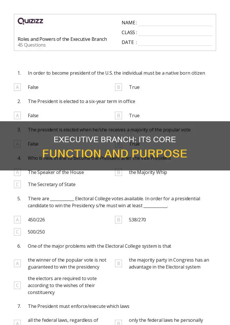 what is the main purpose of the executive branch