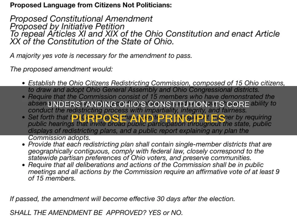 what is the main purpose of the ohio constitution