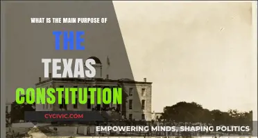 Understanding Texas: The Constitution's Core Purpose