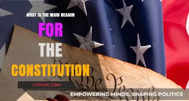 The Constitution: A Foundation for Freedom and Unity