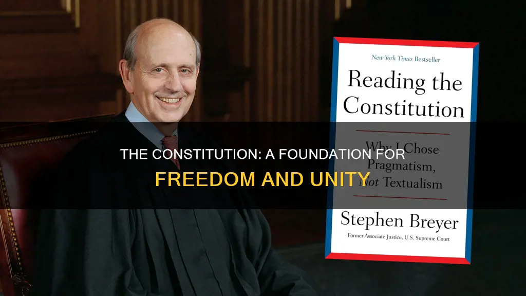 what is the main reason for the constitution