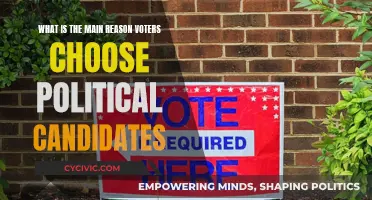 Political Candidate Appeal: Why Voters Choose