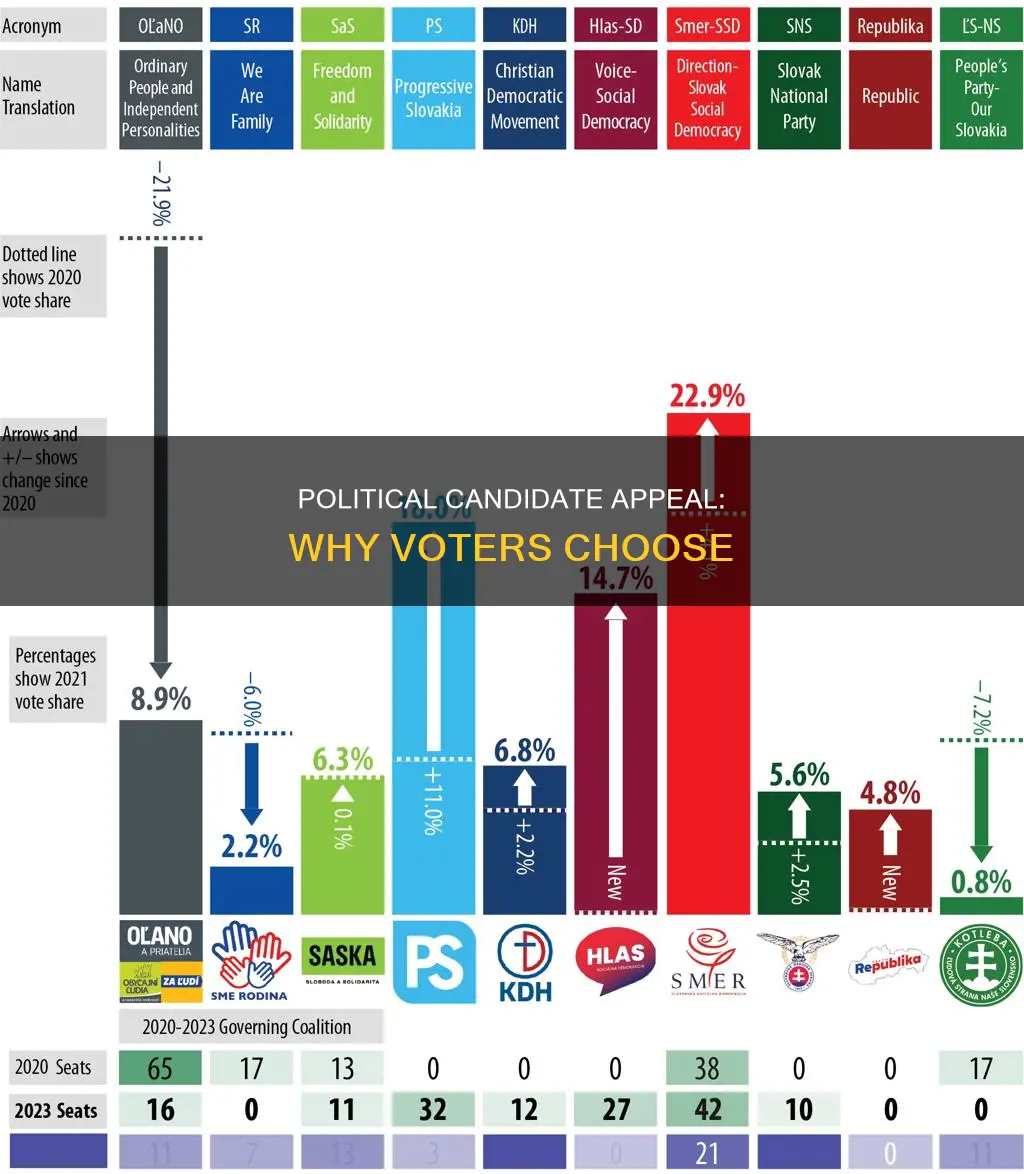 what is the main reason voters choose political candidates