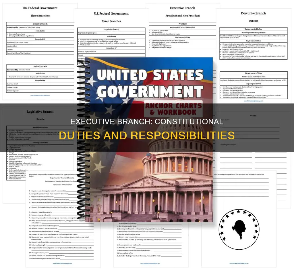 what is the major constitutional responsibility of the executive branch