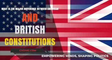 American vs British Constitutions: A Comparative Glimpse