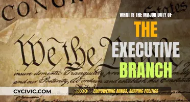 Executive Branch: Their Primary Responsibilities and Duties