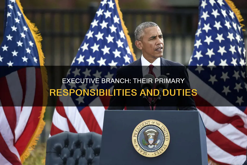 what is the major duty of the executive branch