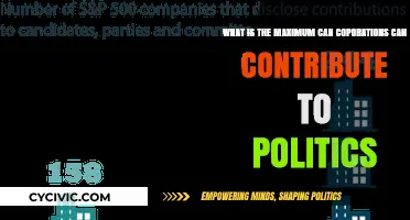Exploring the Limits: Corporate Political Contributions Under Scrutiny