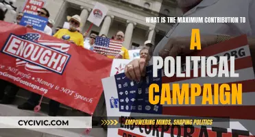 How Much Money Can Be Donated to Political Campaigns?