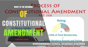 Understanding Constitutional Amendments: Their Meaning and Impact