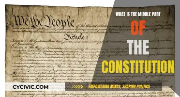 The Constitution's Core: Exploring the Middle Section